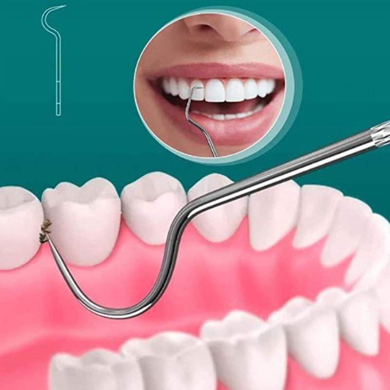 Set de cure-dents en acier inoxydable