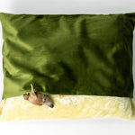 Charley Chau Snuggle Bed in Velour Leaf